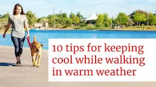 10 Tips For Keeping Cool While Walking in Warm Weather