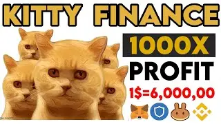 Kitty Coin Global Full Review | KITTY LOTTERY | How to get Kitty Coin |Julswap | Best Token Project