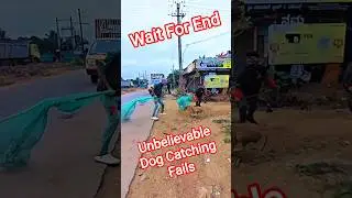 Gojo Vs Street Dog Fails #dog #gojo #fail #streetdogrevival #ytviral
