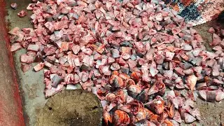 Daily fresh fish cutting 😋 live fish cutting in market Maharajganj ! #fish #viral 