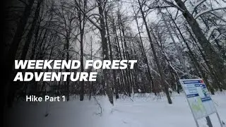 CAPTURED THE MAGIC OF SNOWY FOREST | CHILLED BUT THRILLED 