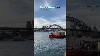 Spring Sydney, Australia 🇦🇺