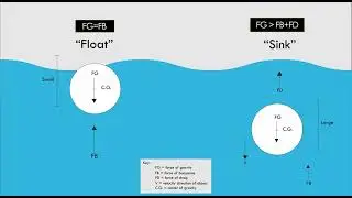 float vs sink animation for Ed Pass H2O