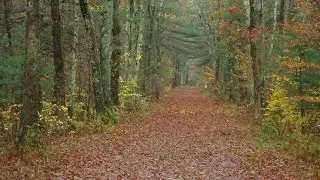 Borderland State Park | Shutter Island location |  Easton Ma.