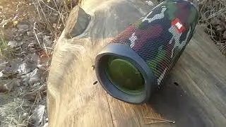 JBL Flip 5 Flex And Bass Test!!! Perfect Focus!!! LFM!!! 100%Volume