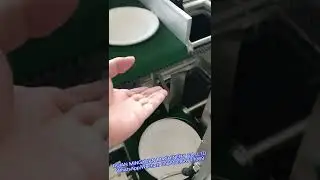 Hydraulic double working station paper plate machine test 140 pcs/min 7 inch plate for Iran client