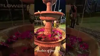 Floral Elegance: Fountain Design Ideas