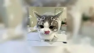 Zachz Winner - doodle ( 𝙎𝙡𝙤𝙬𝙚𝙙 + 𝙍𝙚𝙫𝙚𝙧𝙗 )