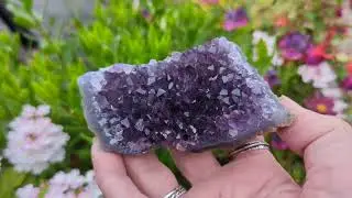 Amethyst plate cluster #amethyst #crystals #minerals #crystalshop #amethystcluster