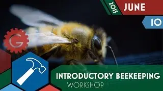 Introductory Beekeeping - Geektropolis Toronto Geek Event Calendar