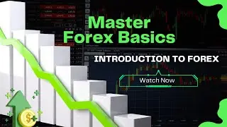 Master Forex Basics : Introduction to Forex