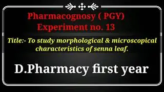 Pharmacognosy  experiment 13