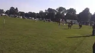 falling off doing flag race in mga soo funny