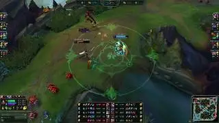 KZ CUZZ Nidalee Jungle 8.4