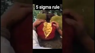 5 sigma rule  #motivationalshort  #viralreality