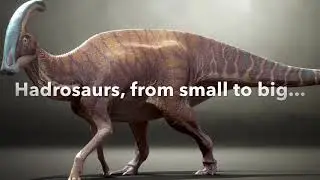 Hadrosaurs Size Comparison