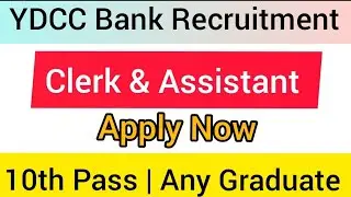YDCC Bank Recruitment | Bank Clerk Recruitment | Assistant Job Vacancy  | Latest Private Bank Jobs