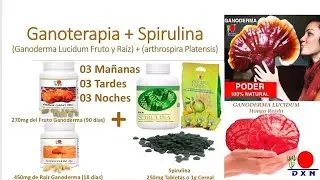 21 SECRETOS DE LOS NUTRIENTES DEL GANODERMA LUCIDUM | Dr. Ricardo Cordero Corral