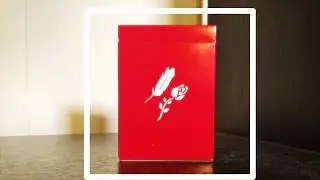 The Best Deck of 2020?! || Reviewing the Remedies by Madison X Schneider!