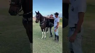 FA&Ccedil;A ISSO quando for subir no cavalo. #mangalargamarchador #cavalo #domador #doma