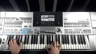 Inna - Up (Tyros 5 instrumental cover)