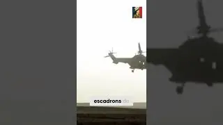 Forces Sp&eacute;ciales en Action: Frappe Rapide et Surprise #shorts