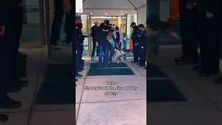 K9 Arlo now! Still biting like nothing happened #shorts #viral #dailyreels