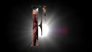 Marissa Webb - Fall 2016 - NYFW - Videofashion Collections