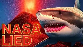 Why NASA HID the TERRIFYING Truth about Mutated Vulcano Sharks