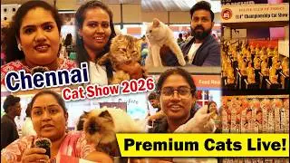 Rare & Exotic Cats Chennai-யில்! 🐾 | Cat Show 2026 | Exotic Cats Exhibition | Premium Cat Breeds