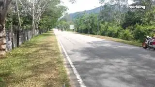 Wheelie session