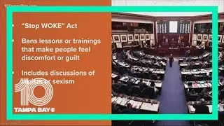 Florida's 'Stop WOKE' Act goes before Senate committee