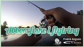 Abborrfiske fr&aring;n min flytring
