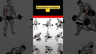 Best Biceps workout top 10 best bigger biceps workout dumbell biceps best workout gym biceps workout