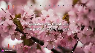 Prince Fox - Fragile (Lyric video)