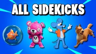 ALL Sidekicks in Fortnite! (All Pets Edit Styles & Emotes)