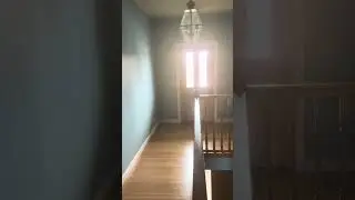 Nutmeg