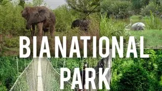 Bia National Park || The Discovery || Bia West District, Western North || Tops In Ghana💯💥🇬🇭
