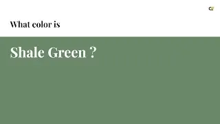 Shale Green color #6b886b hex color - Green color - Warm color 6b886b