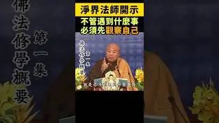 淨界法師：不管遇到什麼事，必須先觀察自己
