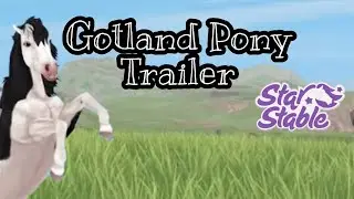 Ich reagiere live auf das Gotland Pony *Trailer Analyse* 🔍 ||[Star Stable] [Deutsch]