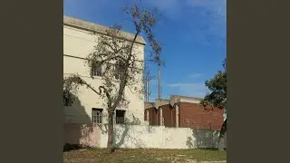 5 Star Hospital (feat. Willem M&ouml;ller)