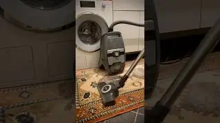 Miele Blizzard CX1 Cat & Dog Flex cylinder vacuum - carpet pickup demo