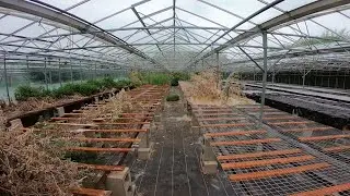SET OFF ALARMS | Abandoned Garden Centre | POV