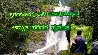 Wonderful world #daily #youtube #chikkamagaluru #kemmangundi #malenadshimoga #environment #environment 