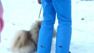 Fredy, Zummi & M&otilde;mmi