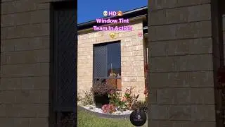 👨🏻&zwj;🦲HD Window Tint Team In Action👩🏻&zwj;🦰🤩