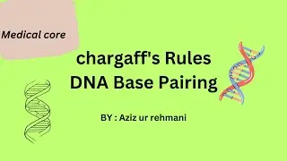 Chargaff's rulel#dna l#structure