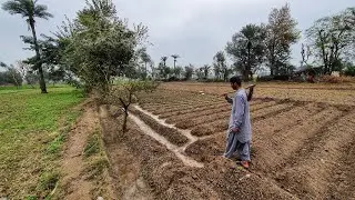 Punjab Village BEAUTIFUL Life In Pakistan