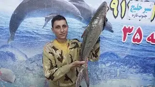 cobia fish filleting with an interesting method and technique